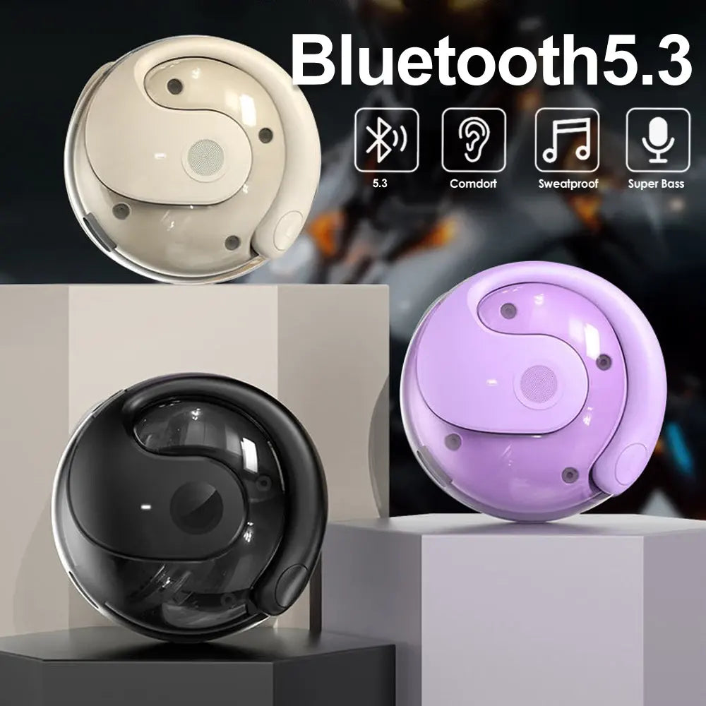 Bluetooth 5.3 Sports Wireless Earbuds