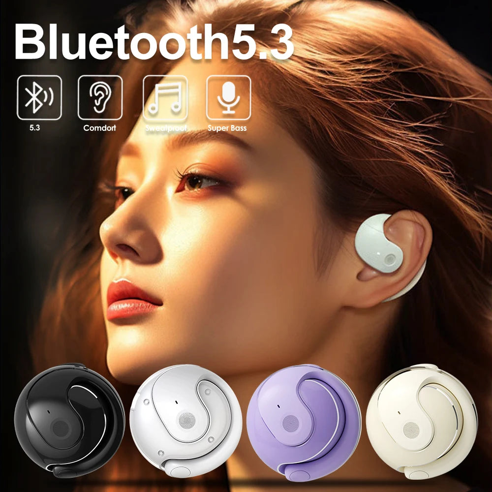 Bluetooth 5.3 Sports Wireless Earbuds